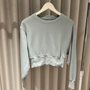 Aritzia Shrunken Crew